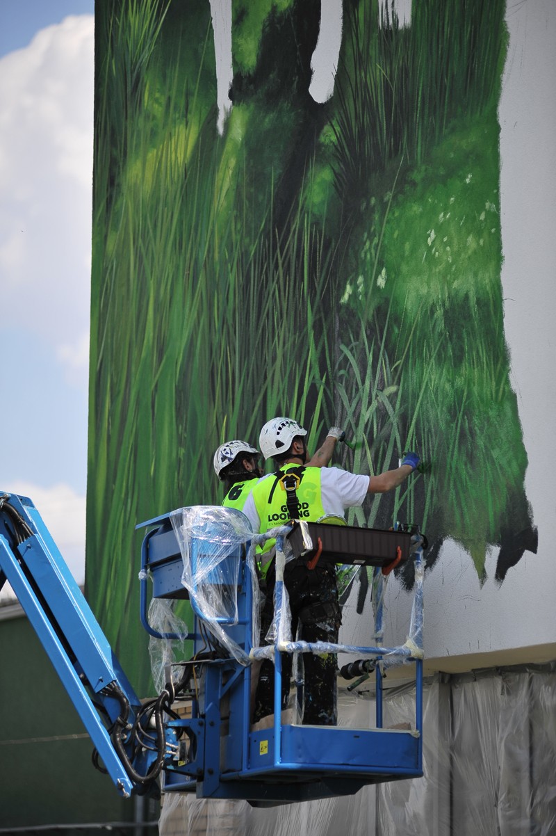 Artyści malujący fabrykę Polmos w Białymstoku w motyw Żubrówki | Mural wizerunkowy w Białymstoku na zlecenie Żubrówka | Portfolio
