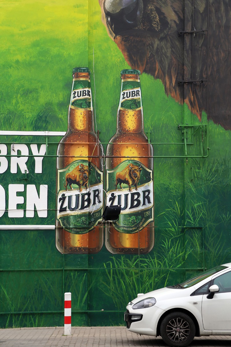 Zwei Wisente sind besser als einer Außenwandbilder Werbekampagne Biermarke Żubr | Zwei Wisente sind besser als einer | Portfolio
