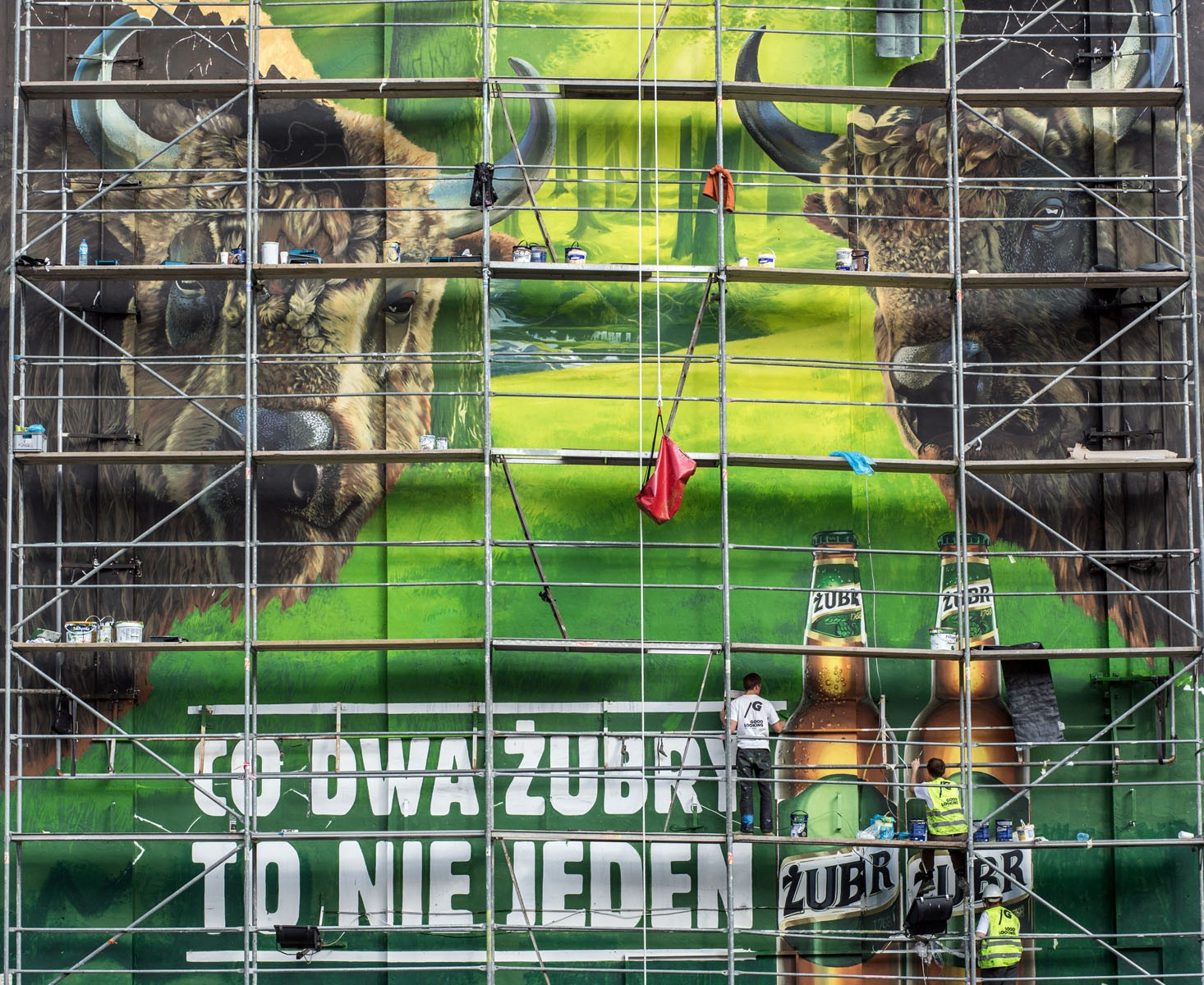 Zwei Wisente sind besser als einer Außenwandbild Werbung für Biermarke Żubr Warschau Bracka Warenhaus Dom Towarowy Bracia Jablkowscy | Zwei Wisente sind besser als einer | Portfolio