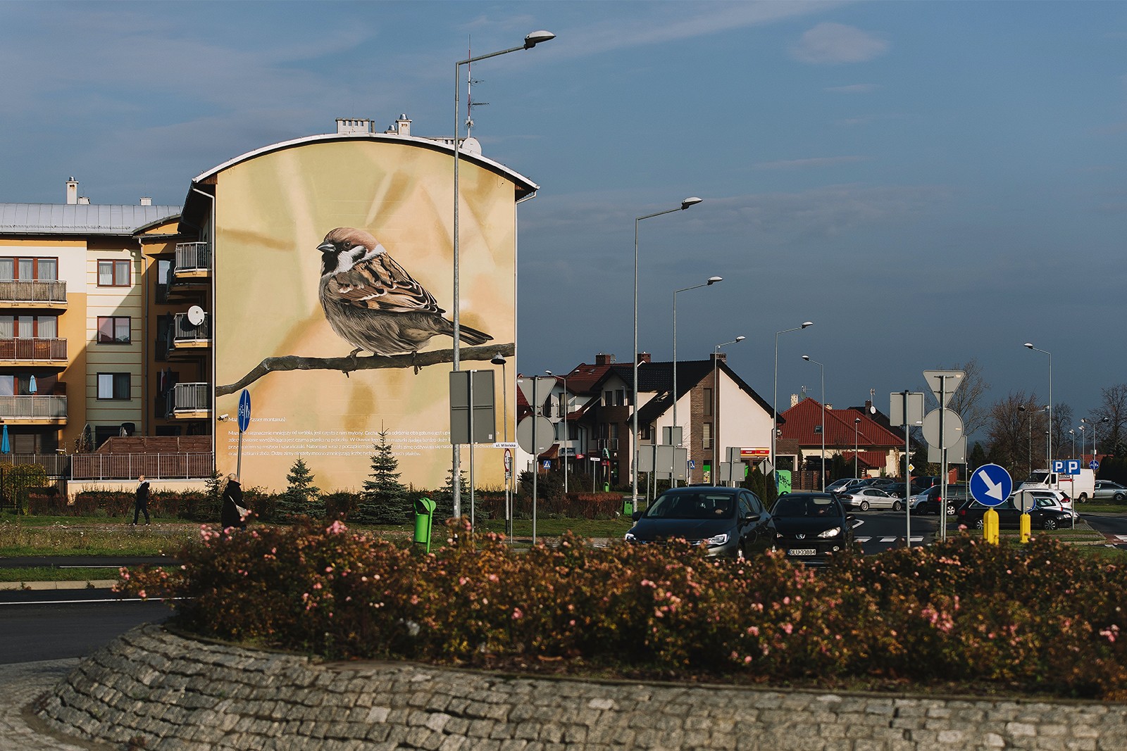 Photorealistic mural of mazurek on the Wilenska street in Lubin | Information and educational campaign in Lubin | Portfolio