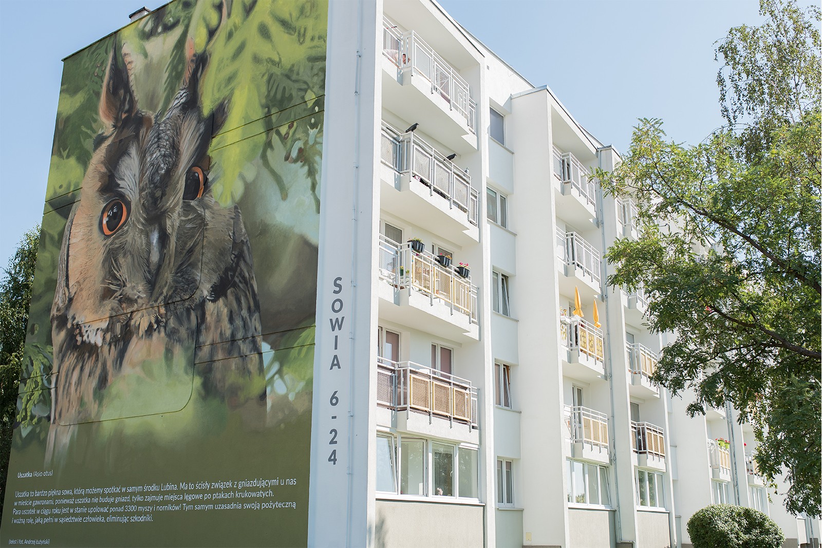 Photorealistic mural on the Sowia street in Lubin | Information and educational campaign in Lubin | Portfolio