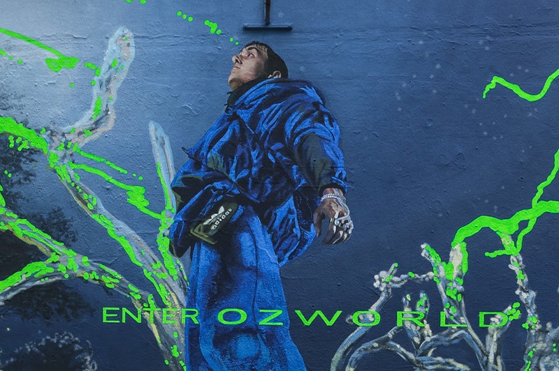 Ręcznie malowany mural reklamowy Adidas OZWORLD | Enter OZWORLD | Portfolio